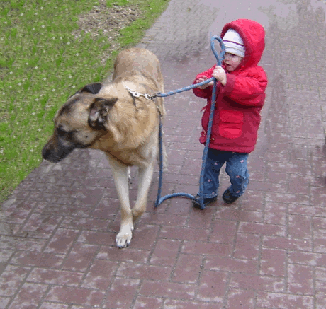 vorw&auml;rts bl&auml;ttern