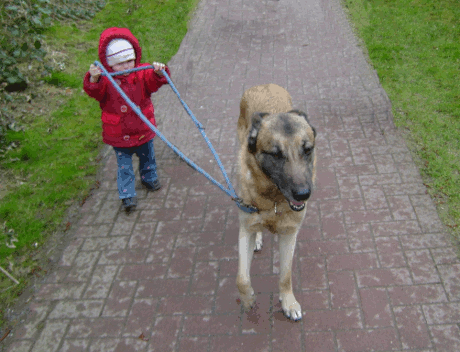 vorw&auml;rts bl&auml;ttern