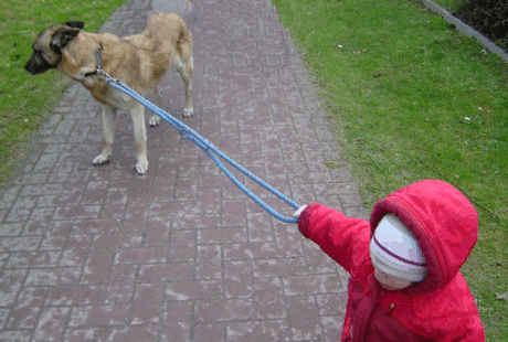 vorw&auml;rts bl&auml;ttern