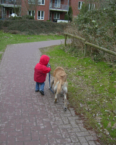 vorw&auml;rts bl&auml;ttern